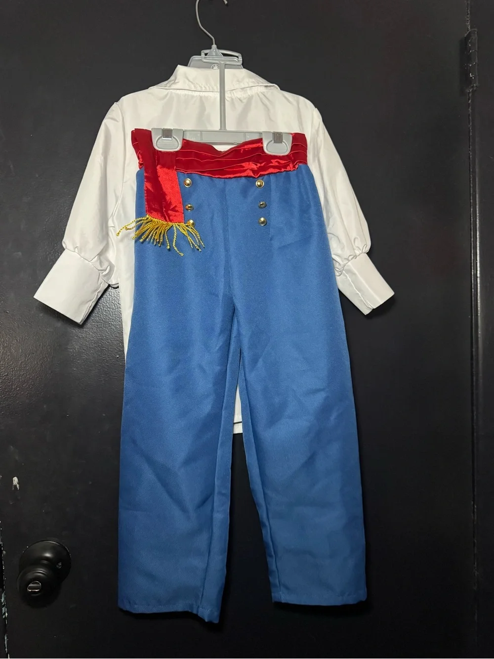 Disney Prince Eric Costume